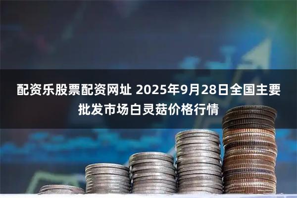 配资乐股票配资网址 2025年9月28日全国主要批发市场白灵菇价格行情