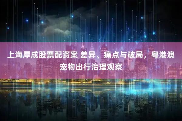 上海厚成股票配资案 差异、痛点与破局，粤港澳宠物出行治理观察