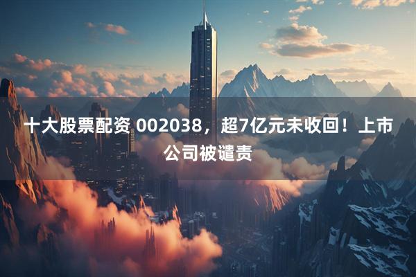 十大股票配资 002038，超7亿元未收回！上市公司被谴责
