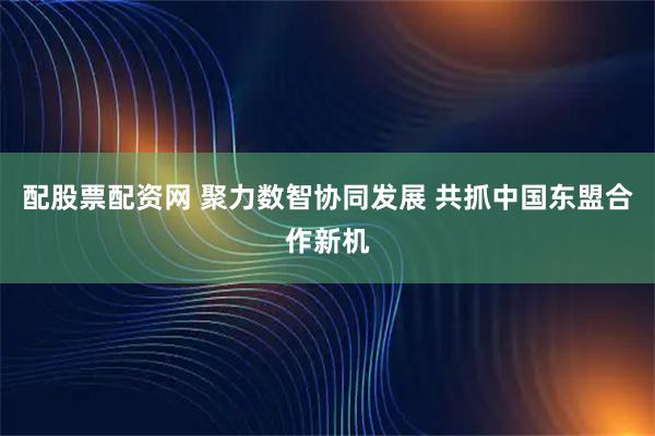 配股票配资网 聚力数智协同发展 共抓中国东盟合作新机